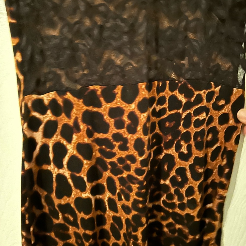 Moda International Leopard and Lace Dress